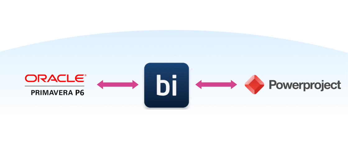 BI Integration Hub - Project Programming-1